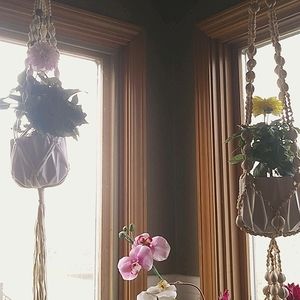 Meet your Posher, Rylee